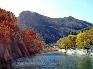 澳门精准正版免费大全14年新，只手遮天雪山飞狐